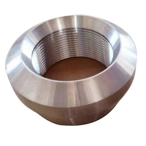 ANSI Forged Pipe Fittings Uns31803 A182f51 2205 Duplex Stainless Steel 3000# Threadolet